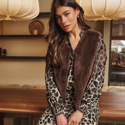 Collection image for: Animal