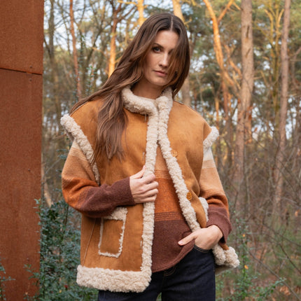 Collection image for: Brown