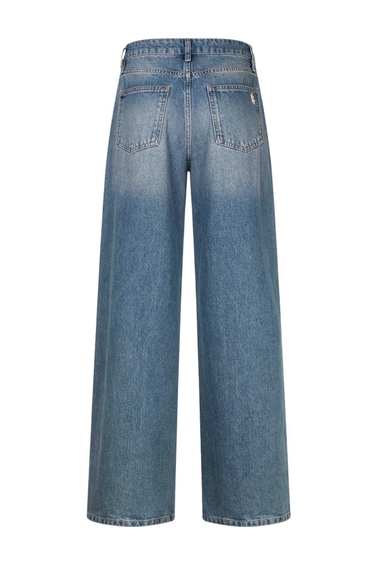 Lichte blauwe denim broek van Ibana in poseph Piedra stijl met rechte snit en casual pasvorm.