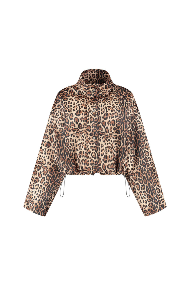 Jacket Feline Multi Print
