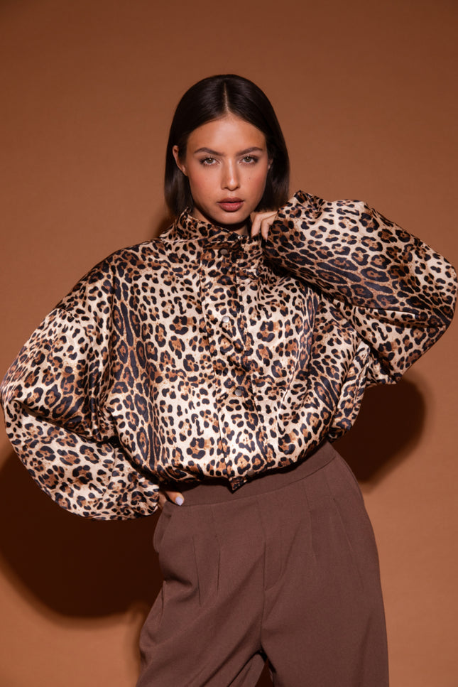 Jacket Feline Multi Print