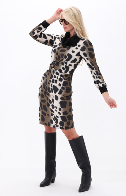 Jurk Rolkraag Met Print D114-P147