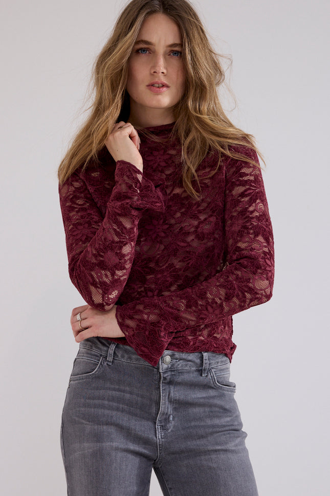 Top Velvet Stretch Lace Pomegranate C65-21-401