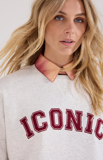 Sweater Iconic Snow C62-21-602