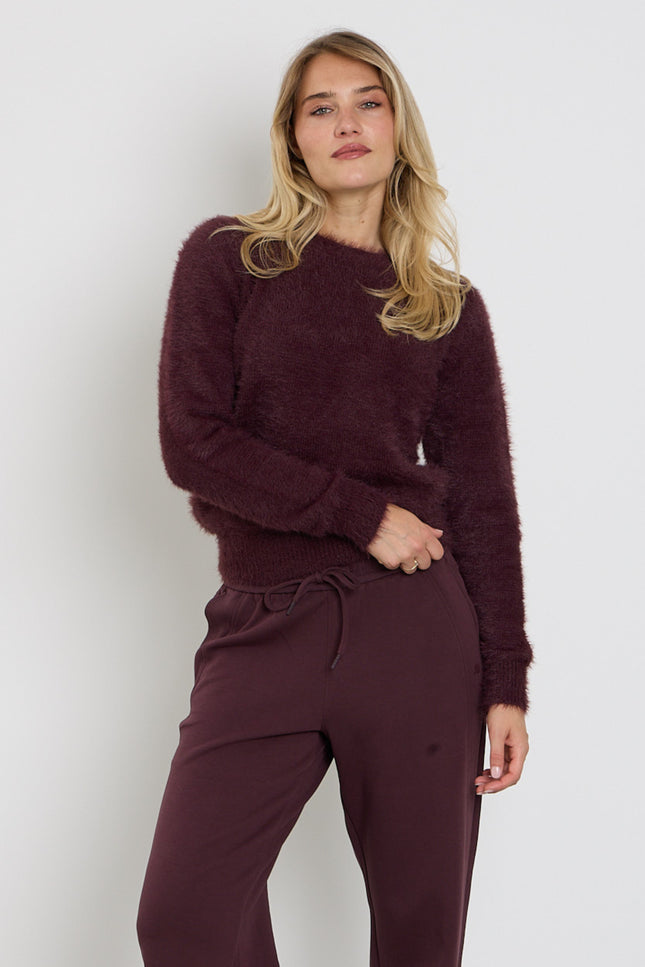 Top Sweet Fuzzy Burgundy SRB5117