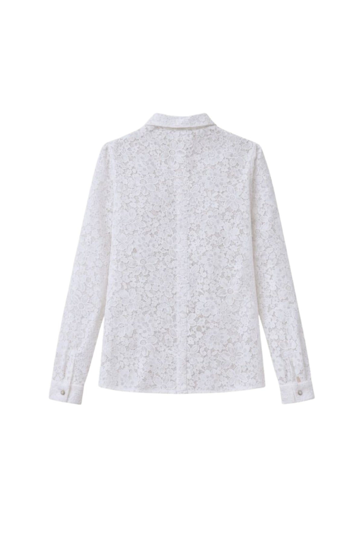 Offwhite kanten blouse van Elvira Casuals, elegante damesblouse met lace details en comfortabele pasvorm.