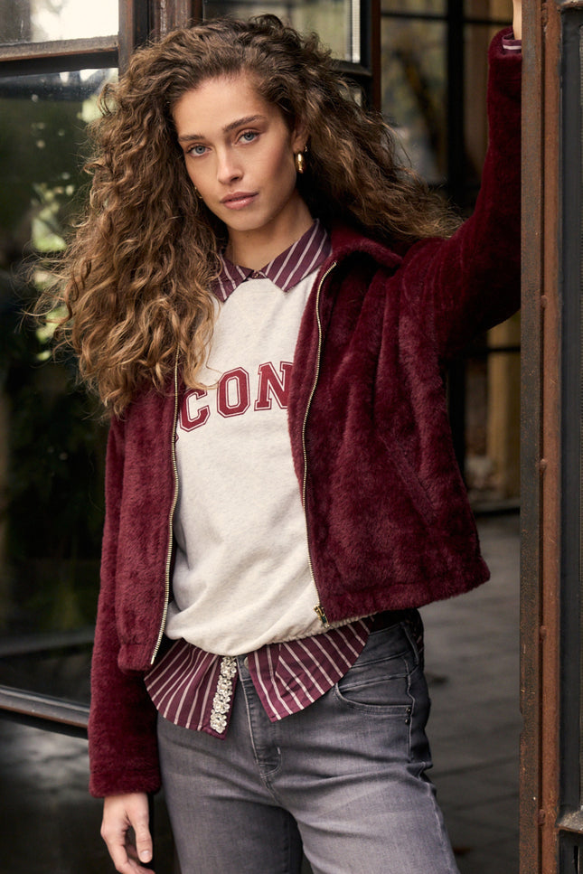 Sweater Iconic Snow C62-21-602
