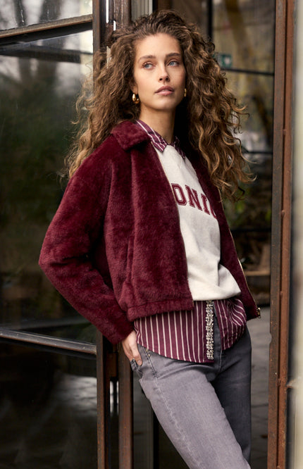 Sweater Iconic Snow C62-21-602