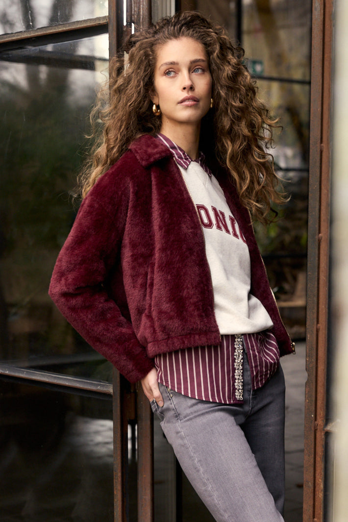 Tramontana Iconic Snow C62-21-602 sweater, warme grijze trui met rits en zachte textuur, zichtbaar op de afbeelding