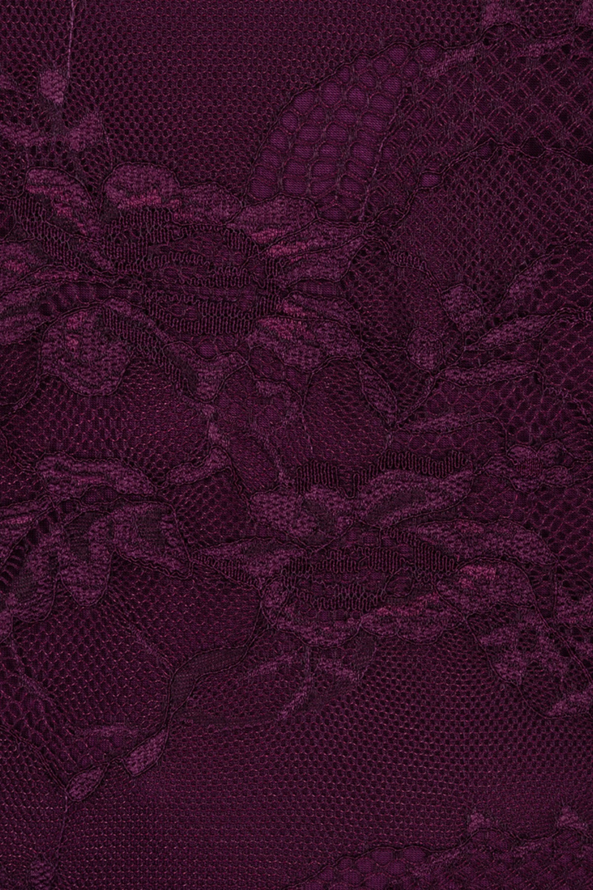 Lichtblauwe top Lace Beet van EsQualo met kanten details en korte mouwen, gedragen door een model.