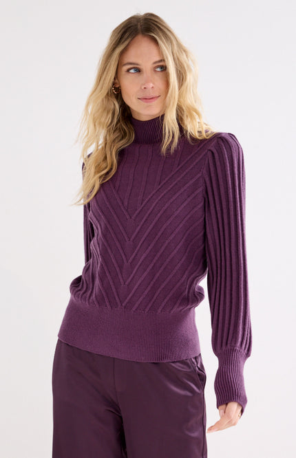 Trui Puff Sleeve Aubergine Noir Y01-22-601