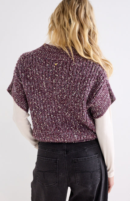 Trui Sleeveless V-Neck Deep Plum Y03-22-601