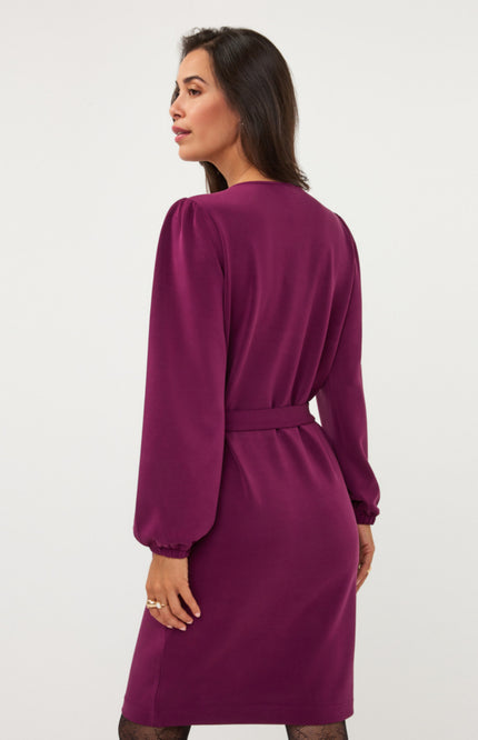 Jurk Embellishment Modal Beet W26.05704