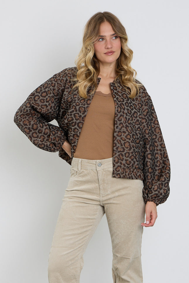 Bomber Jacquard Lurex Grey Brown SRB5149