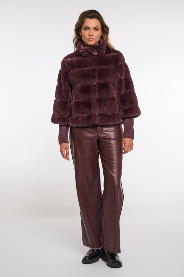 Jacket Feline Chocolate Bean