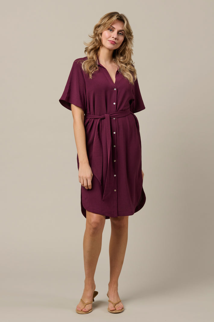 Donkerpaarse jurk Margo Plum van &Co woman, getoond op een model met lange mouwen en elegante pasvorm.