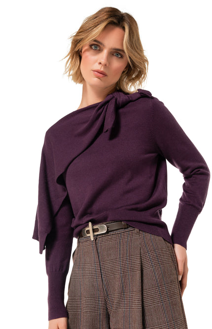 Trui Knoopdetail Plum 4205-45