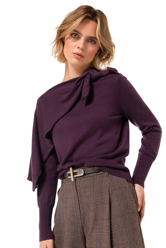 Trui Knoopdetail Plum 4205-45