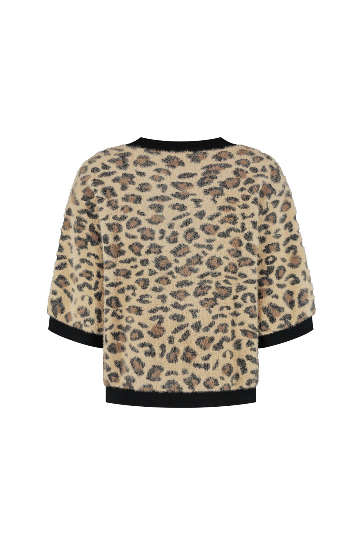 Lady Day Top Lucia in multicolor met bloemendessin, licht en stijlvol voor een elegante look.