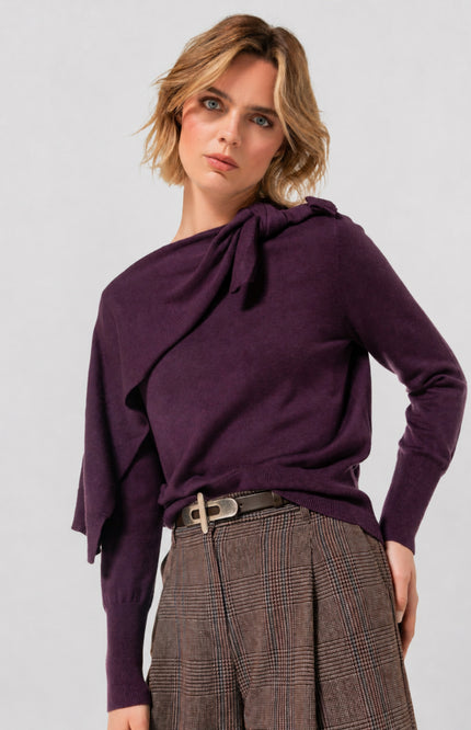 Trui Knoopdetail Plum 4205-45