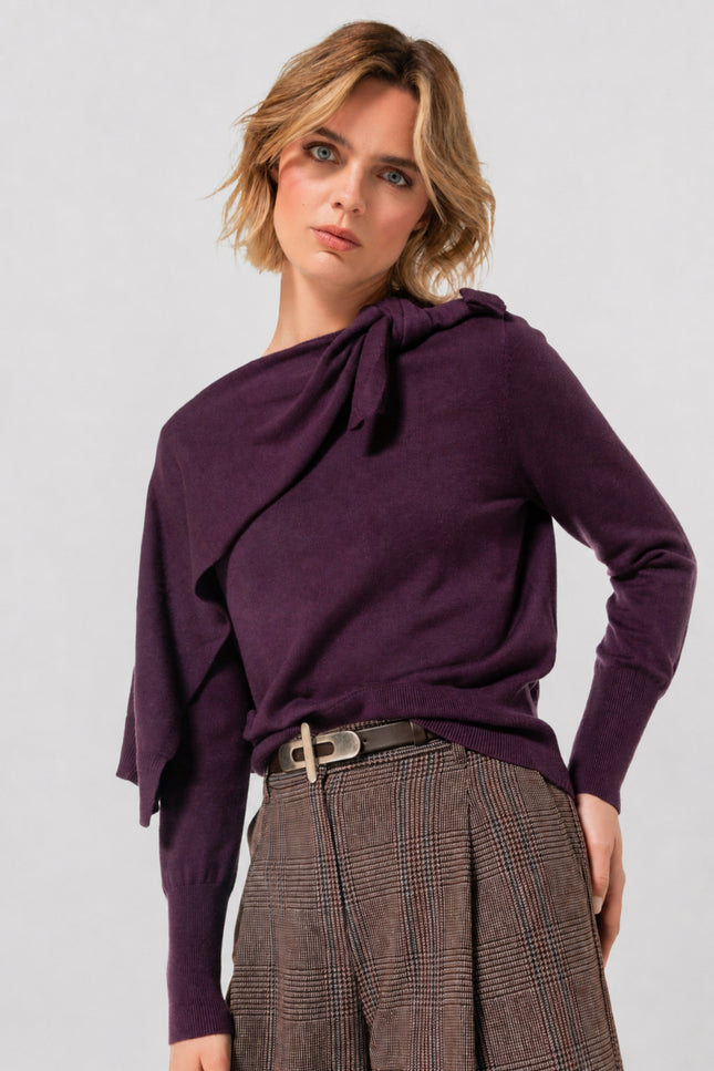 Trui Knoopdetail Plum 4205-45
