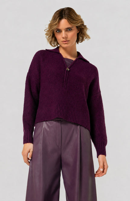 Trui Halfzip Plum 4222-45