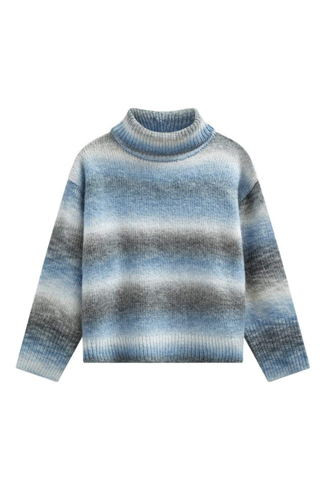 Trui Fqsasu Salute Wedgewood 207082