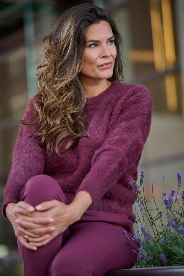 Sweater Lia Bordeaux 255