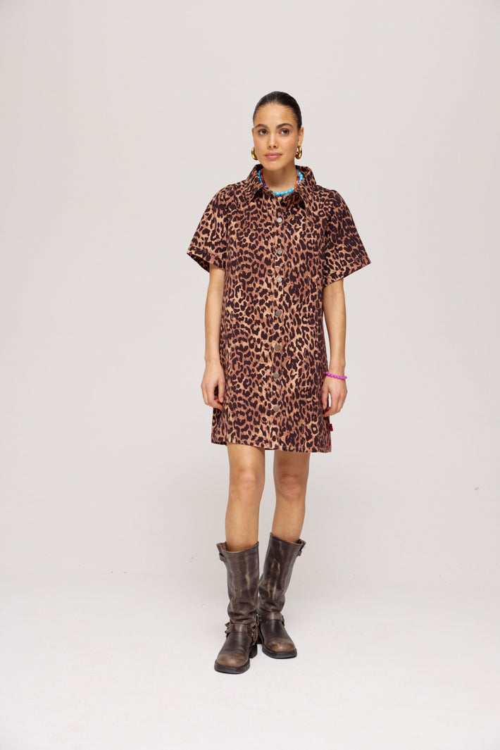 Harper & Yve Sarah Lexie leopard jurk met lange mouwen en losse pasvorm, opvallend dierenprint, perfect voor casual en feestdagen.