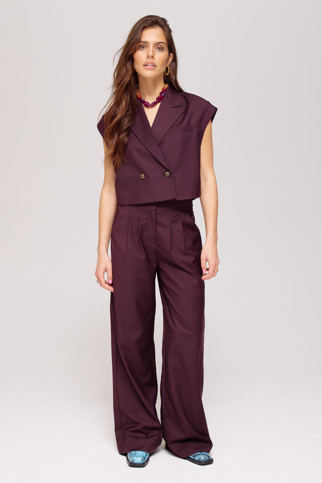 Broek Sadie Dark Fudge AW25N104